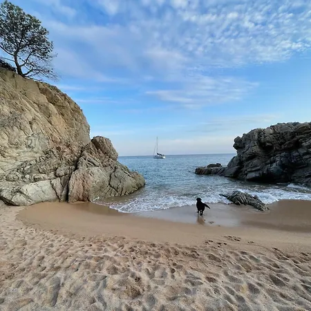 Apartamento Pinzon, Gezellige Familievilla Met Groot Zwembad. Lloret de Mar