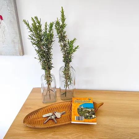 Pinzon, Gezellige Familievilla Met Groot Zwembad. Apartamento